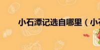 小石潭记选自哪里(小石潭记选自)