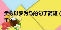 类似以梦为马的句子简短(类似以梦为马的句子)