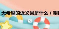 无希望的近义词是什么(望的近义词是什么)