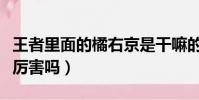 王者里面的橘右京是干嘛的(王者荣耀橘右京厉害吗)