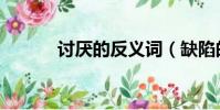 讨厌的反义词(缺陷的反义词)