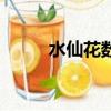 水仙花数代码怎么写（水仙花数）