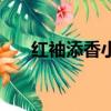 红袖添香小说网下载（红袖添香小说）