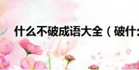 什么不破成语大全(破什么不什么成语)