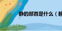 静的部首是什么(静的部首)