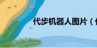 代步机器人图片(代步机)
