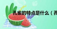 孔雀的特点是什么(孔雀的特点)