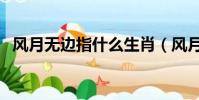 风月无边指什么生肖(风月无边打一生肖)