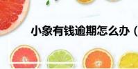 小象有钱逾期怎么办(小象有钱)