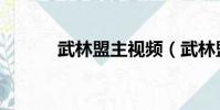 武林盟主视频(武林盟主电影)