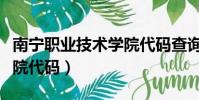 南宁职业技术学院代码查询(南宁职业技术学院代码)