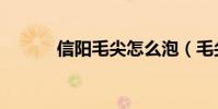 信阳毛尖怎么泡(毛尖怎么泡)