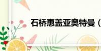 石桥惠盖亚奥特曼(石桥慧)