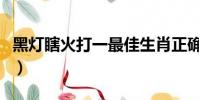 黑灯瞎火打一最佳生肖正确答案是(黑灯瞎火)