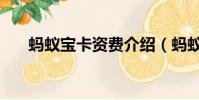 蚂蚁宝卡资费介绍(蚂蚁宝卡怎么样)