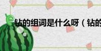 钻的组词是什么呀(钻的组词是什么)