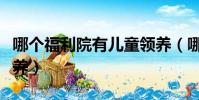 哪个福利院有儿童领养(哪个福利院有儿童收养)
