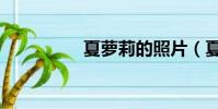 夏萝莉的照片(夏萝莉)