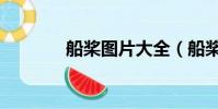 船桨图片大全(船桨的拼音)