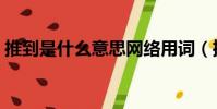 推到是什么意思网络用词(推到是什么意思)