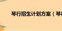 琴行招生计划方案(琴行招生方案)