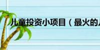 儿童投资小项目(最火的儿童投资项目)