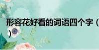 形容花好看的词语四个字(形容花好看的词语)