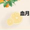 血月月食阴阳（血月月食）