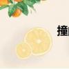 撞的组词（犬的组词）