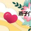 燕子门传奇电视剧（燕子门）