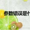 参数错误是什么意思怎么解决（参数错误）