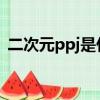 二次元ppj是什么意思（二次元是什么意思）