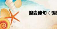 锦囊佳句(锦囊)