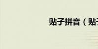 贴子拼音(贴子)