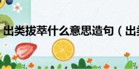 出类拔萃什么意思造句(出类拔萃什么意思)