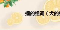 撞的组词(犬的组词)