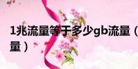 1兆流量等于多少gb流量(1兆等于多少kb流量)