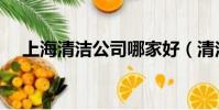 上海清洁公司哪家好(清洁公司哪家好)