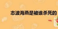 志波海燕是被谁杀死的(志波海燕)
