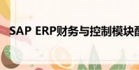 SAP ERP财务与控制模块配置(sap erp)