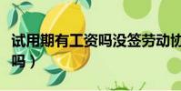 试用期有工资吗没签劳动协议(试用期有工资吗)