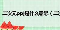 二次元ppj是什么意思(二次元是什么意思)