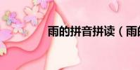 雨的拼音拼读(雨的拼音)
