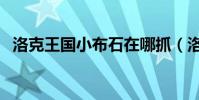 洛克王国小布石在哪抓(洛克王国小布石)