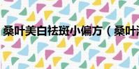 桑叶美白祛斑小偏方(桑叶洗头能治白发吗)