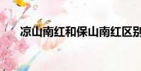 凉山南红和保山南红区别(凉山南红)