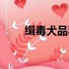 缉毒犬品种排名图片（缉毒犬品种）