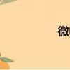 微电机系统（微电机）