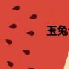 玉兔公子商标（玉兔公子）