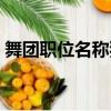 舞团职位名称独特霸气（舞团职位名称简洁）